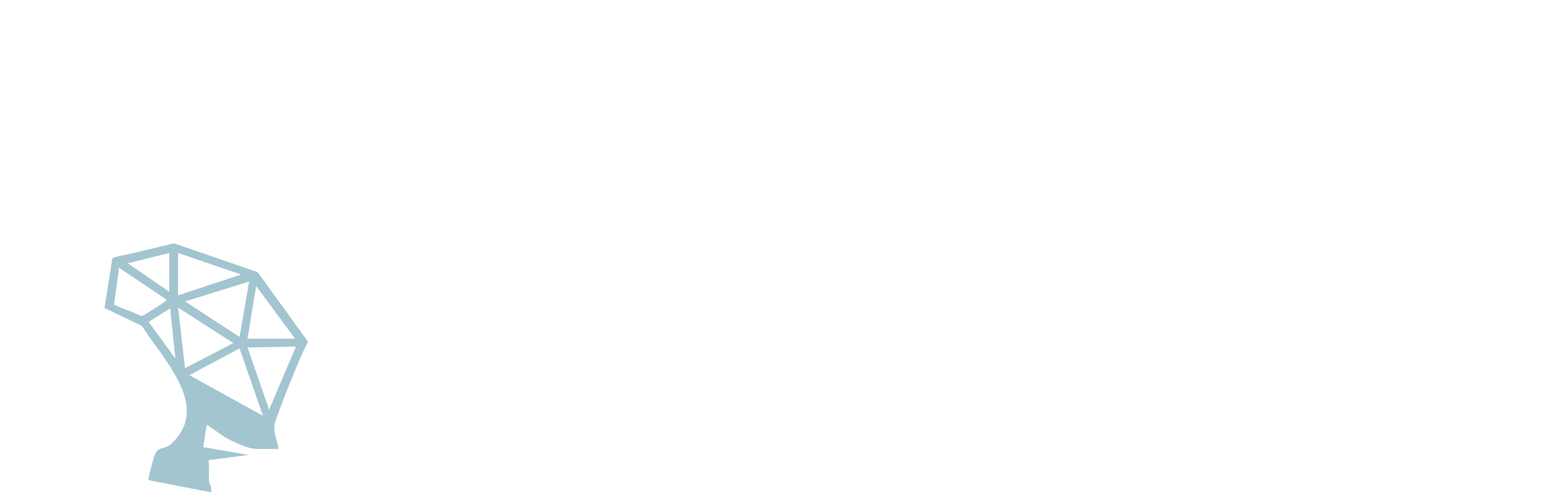 Galatea Estudio